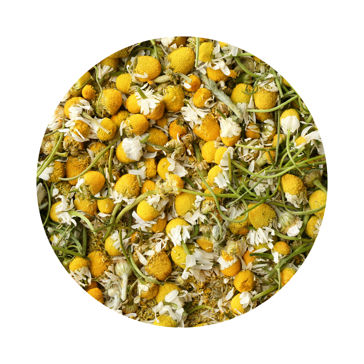 Chamomile Tea