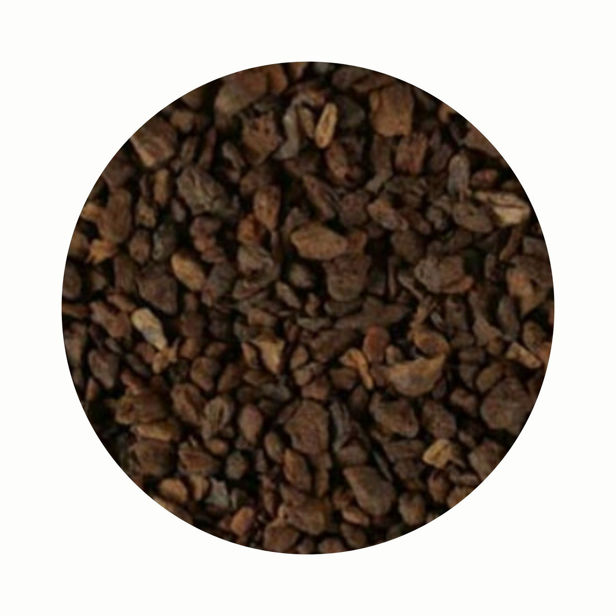 Chicory