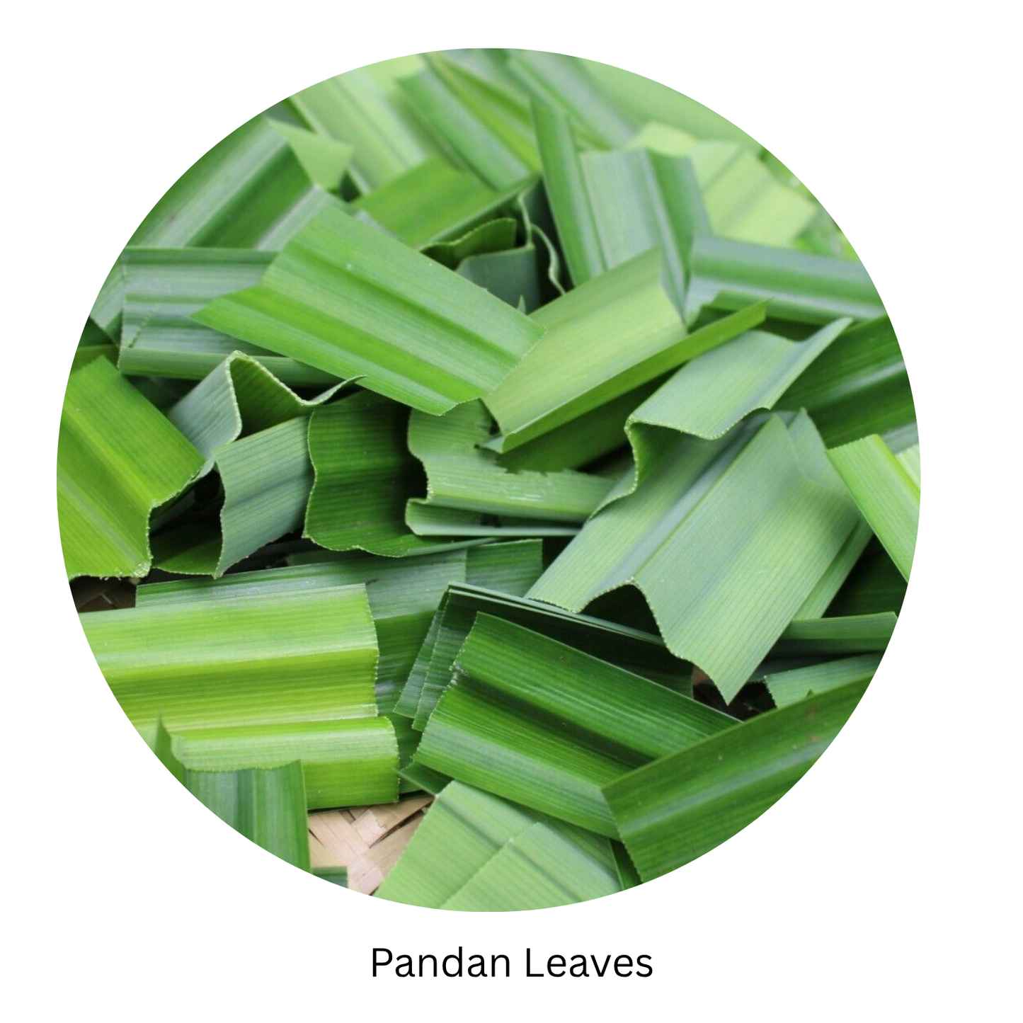 Pandan Leaves
