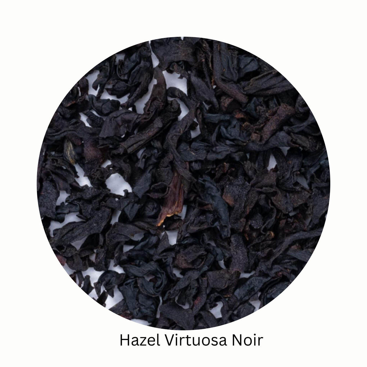 Hazel Virtuosa Noir