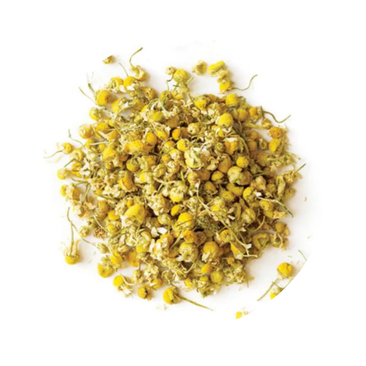 Chamomile - Egyptian