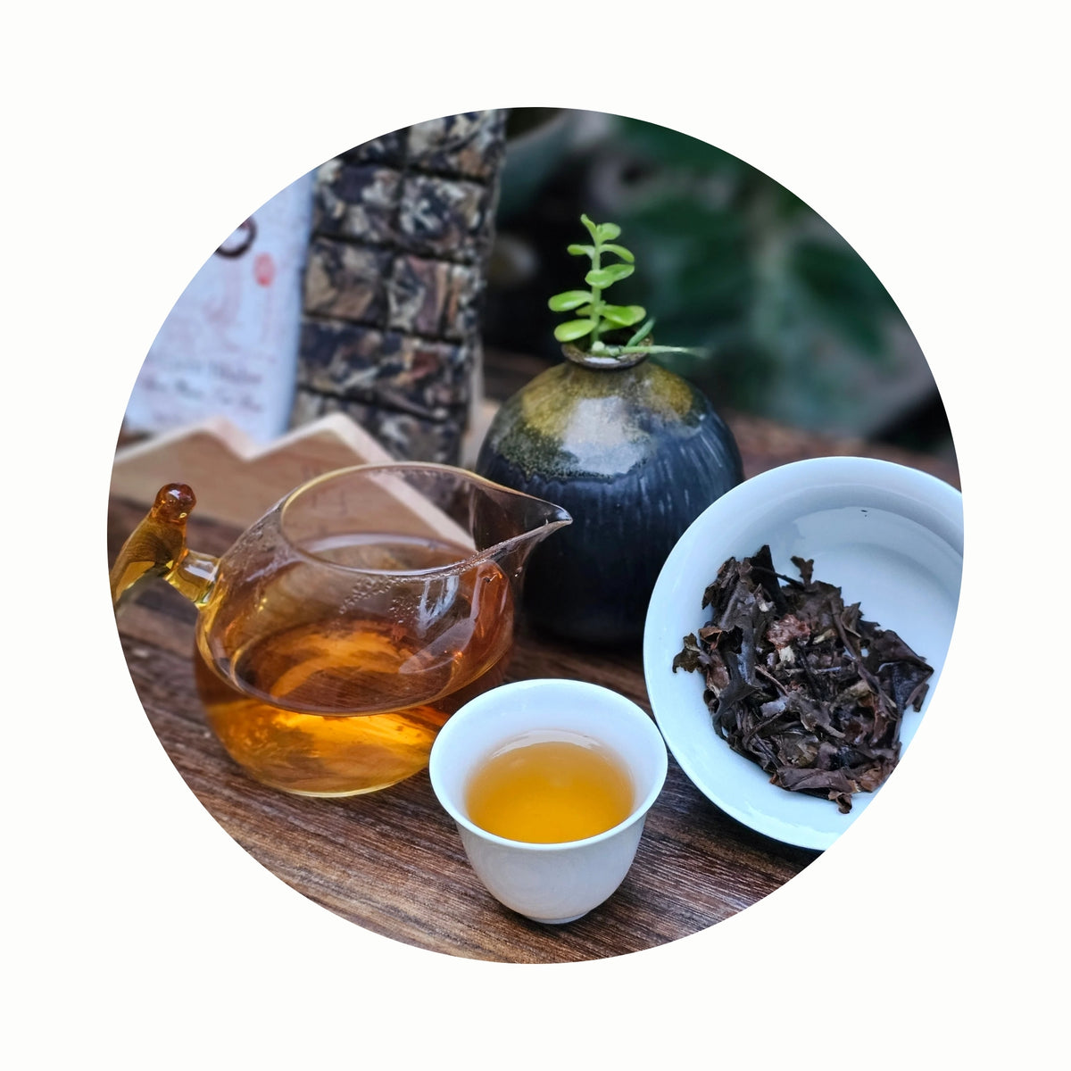 FABULA: Ancient Healer: Aged White Tea Bar
