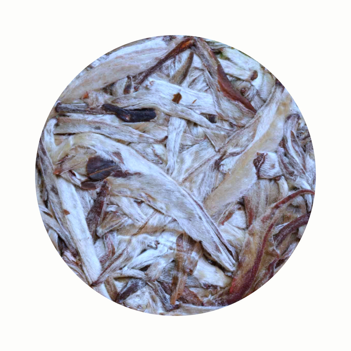 FABULA: High Mountain Silver Needle White Tea
