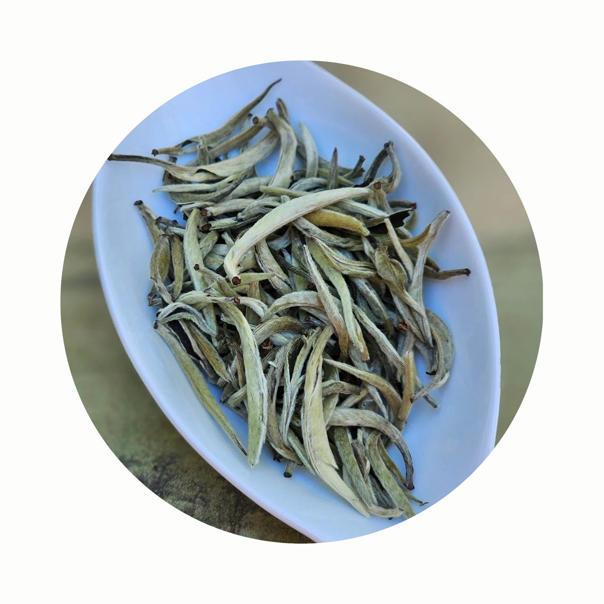 FABULA: High Mountain Silver Needle White Tea