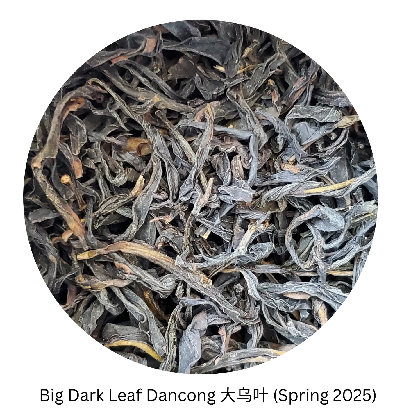 FABULA - Big Dark Leaf Phoenix Oolong