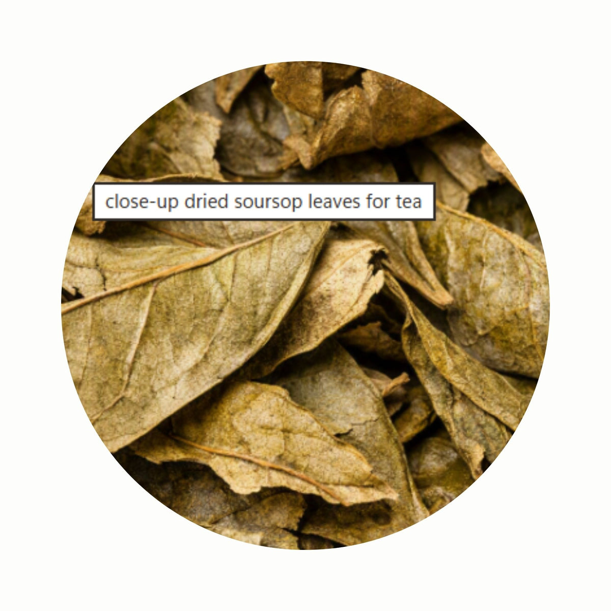 Soursop Leaf Tea